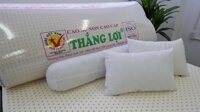Nệm cao su non cao cấp Thắng Lợi hàng chính hãng bảo hành 15 năm sụt lún - nệmcombo quà tặng - 2mx2.2mx10cm