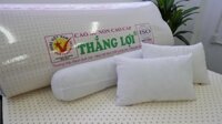 Nệm cao su non cao cấp Thắng Lợi hàng chính hãng bảo hành 15 năm sụt lún - Chỉ có nệm - 1mx2mx10cm