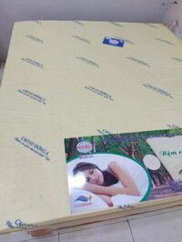 NỆM CAO SU NON ĐÔNG Á 1M8 X 2M 15 PHÂN