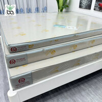 Nệm cao su non hoạt tính kháng khuẩn Thiên Long hỗ trợ cho người đau lưng, kích thước giường đơn
