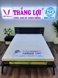 NỆM CAO SU NON MASSAGE THẮNG LỢI- HÀNG CHÍNH HÃNG- BẢO HÀNH 15 NĂM VỀ SỤT LÚN- ĐỦ SIZE TỪ 1m-2.2m - 100x200x10cm - Chỉ có nệm