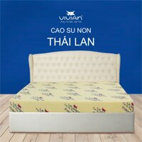 Nệm Cao Su Non THAILAND Vivian 2.0mx15cm - Màu Vàng Nhạt - Vải Thun Lạnh - Có Dây Kéo - 1.8m2.0m15cm