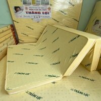 Nệm cao su non Thắng Lợi 10 phân loại gấp 3 (Hàng chính hãng)