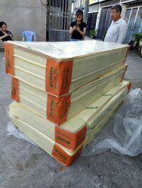 Nệm cao su non Thắng Lợi 15cm - Không quà - 1mx2mx15cm gấp 3