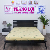 Nệm cao su non Thắng Lợi 1m2 x 2m 10cm