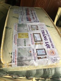 Nệm cao su non Thắng Lợi dày 5cm gấp 3 - 2mx2.2mx5cm