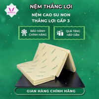 nệm cao su non thắng lợi  nệm gấp 3