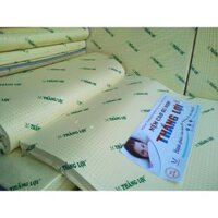 Nệm cao su non Thắng Lợi 1mx2mx10cm