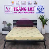 Nệm cao su non TL - 1m2 x 2m x 10cm