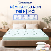 Nệm Cao Su Non Trung Nguyên 1m6 x 1m8 Nguyên Tấm