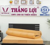 NỆM CAO SU THIÊN NHIÊN  100 CHO THẮNG LỢI SUSU ORIGINAL HÀNG CHÍNH HÃNG,,,, - 1m6x2mx5cm - Chỉ có nệm