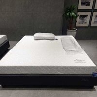 Nệm cao su thiên nhiên Everon than hoạt tính chống khuẩn