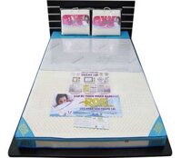 Nệm cao su thiên nhiên TL Rosi massage  - 1m6 x 2m x 5cm
