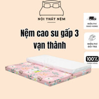 Nệm cao su vạn thành gấp 3 Green Sleep