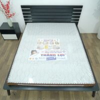 Nệm Cao Su Win Mỹ 1m2 x 2m x 20cm
