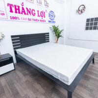 Nệm Cao Su Wonder Foam 1m2 x 2m 10cm