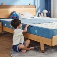 Nệm Chống Thấm Nhập Khẩu Thái Lan Nệm Cao Su Bảo Vệ Cột Sống Thoáng Khí Có Thể Giặt Được Lin Family Life CD165