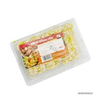 Nem chua rán ERA 500Gr