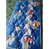 NỆM COTTON THẮNG LỢI CHÂN GÒN (60X110)