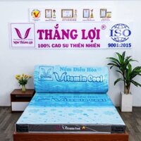 NỆM ĐIỀU HÒA THẮNG LỢI - VITAMIN COOL
