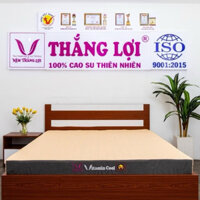 nệm điều hoà thắng lợi vitamin cool chính hãng