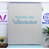 nệm điều hòa vitamin cool thắng lợi chính hãng( với công nghệ làm mát đa tầng)