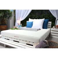 Nệm Foam Cao Cấp Edena Royal, Êm Ái, Thoáng Khí, Nâng Đỡ Vững Chãi