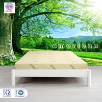 Nệm foam Đông Á American  - 1m2 x 2m x 10cm