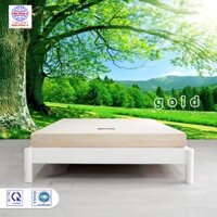 Nệm foam Đông Á Gold Tundo  - 1m8 x 2m x 10cm
