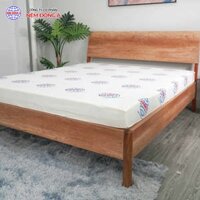 Nệm foam Đông Á New  - 1m2 x 2m x 10cm