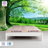Nệm foam Đông Á Ruby  - 1m2 x 2m x 10cm