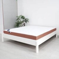 Nệm foam Đông Á Tundo  - 1m2 x 2m x 10cm