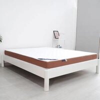 Nệm foam Đông Á Tundo  - 1m8 x 2m x 10cm