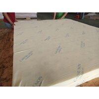 Nệm Foam Latex Nêm Sơn( tên gọi khác Cao su Non) 120*200*10