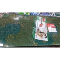 Nệm gòn ép ( bông ép ) 1m8 x2x 5cm(phân) Korea