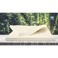 NỆM KIM CƯƠNG - Nệm cao su thiên nhiên xuất khẩu PRINCESS GOLD, đàn hồi, ngủ ngon, thoáng mát, bảo hành 12 năm