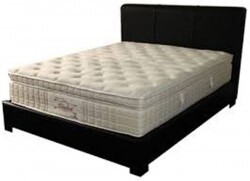 Nệm lò xo Dunlopillo Divan Dunlopillo Elizabeth