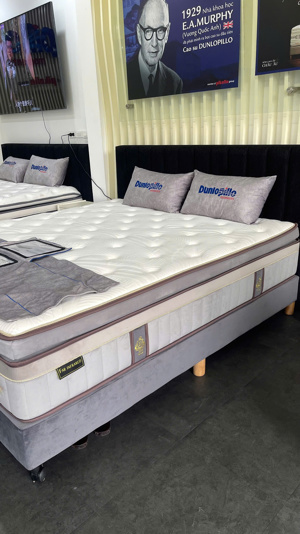 Nệm lò xo Dunlopillo Divan Dunlopillo Elizabeth