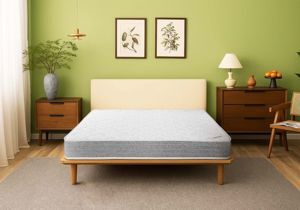 Nệm lò xo Everon Pocket Pops