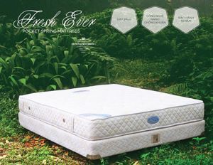 Nệm lò xo Hanvico Fresh Ever Hanvico 24cm