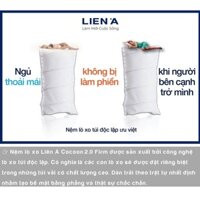 NỆM LÒ XO TÚI LIÊN Á COCOON 2.0 FIRM - CHÍNH HÃNG, BẢO HÀNH 10 NĂM
