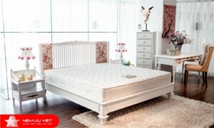 Nệm lò xo túi Winter 2 viền