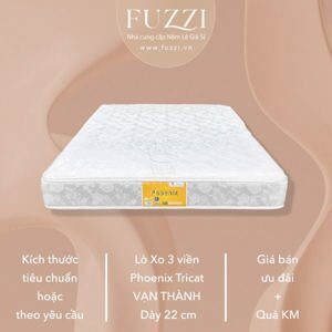 Nệm lò xo Vạn Thành Phoenix Tricat 3 viền