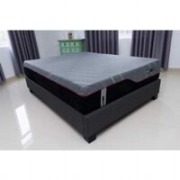 NỆM LÒ XO XUẤT USA MK ROYAL 25cm (100x200)