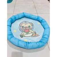 Nệm mỏng cho thú cưng