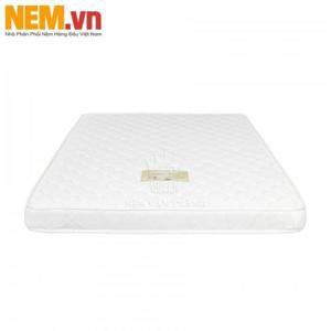 Nệm mousse Vạn Thành Queen Foam 10N