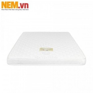 Nệm mousse Vạn Thành Queen Foam 10N