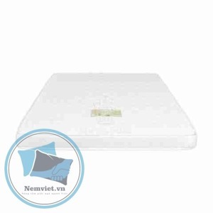 Nệm mousse Vạn Thành Queen Foam 10N
