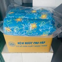 Nệm Nước Cao Cấp Ngọc Thảo  Cho Bé, Người Lớn Lót( Màu họa, tiết ngẫu nhiên ) size 75*120cm