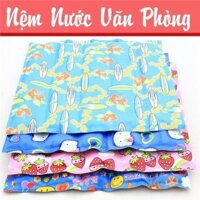 Nệm nước lót ngồi văn phòng 50cmx50cm